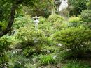 妙法寺境内に作庭された庭園
