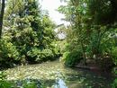 加賀美遠光公館跡にある庭園を撮影した画像