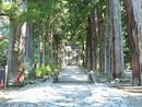 久遠寺参道に敷き詰められた石畳と石橋、その両脇にある杉並木