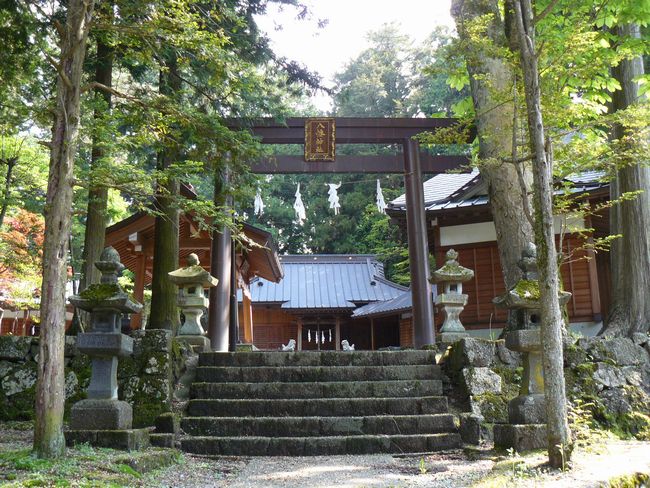 �����_��