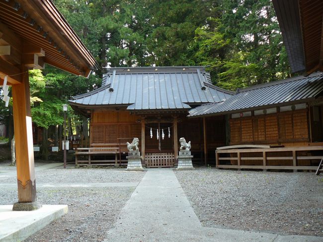 �����_��