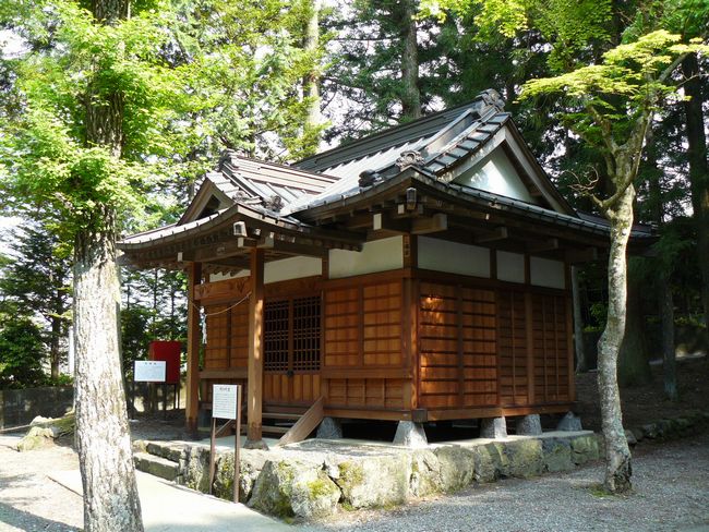 �����_��