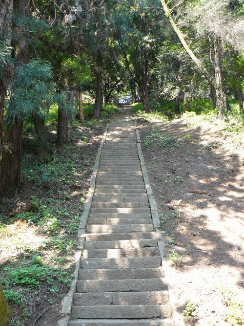 �����_��