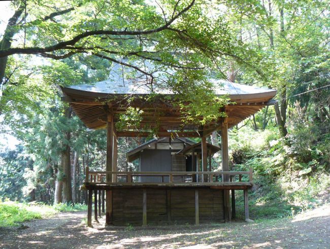 �����_��