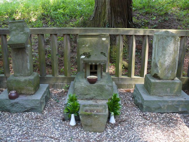 ���c���������