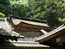 武田八幡宮拝殿越に見た格式の高さが感じられる本殿正面
