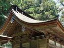 武田八幡宮の迫力のある大型本殿の左斜め前方の画像