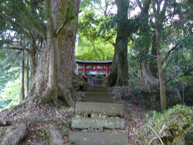 ���̉��R�_��