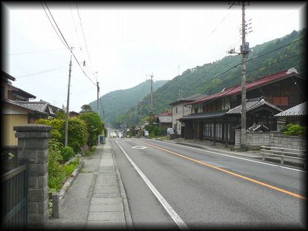 ����c�h�̂ǂ�����������������