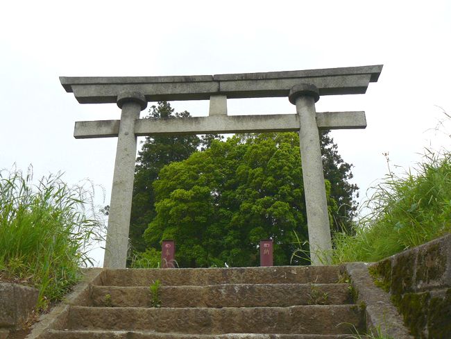 �^�ؐz�K�_��