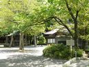 忍草浅間神社のイチイ群越に見える社務所