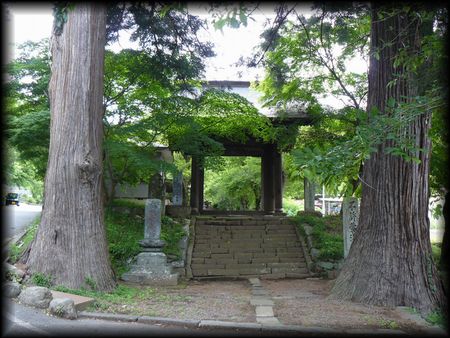 長生寺境内に生える２本の杉の大木の間から垣間見える山門