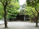 長生寺境内樹木から見える本堂