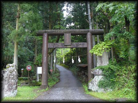 �R�����_�Ј�̒������B�e�����摜