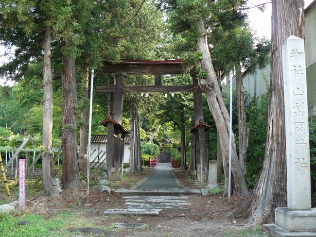 �R�����_��