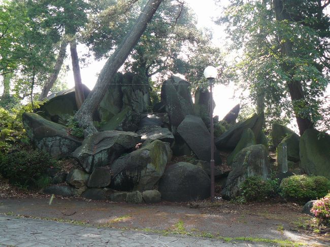 �R�����_��