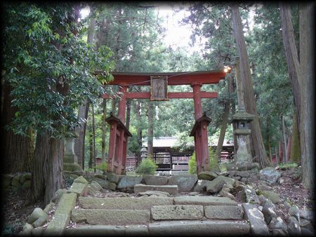 天神社の歴史が感じられる参道の石段から見た朱色の木製両部鳥居