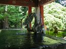 北口本宮冨士浅間神社手水舎にある龍の手水口から勢いよく流れる清水