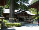 北口本宮冨士浅間神社太郎杉越に見る歴史が感じられる拝殿